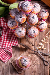 Obraz na płótnie Canvas blueberries muffins