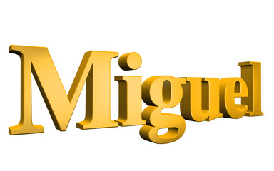 3D Miguel text on white background