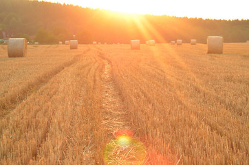 Field after harvest with straw bales at sunset