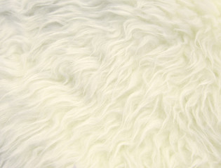 white fur texture background