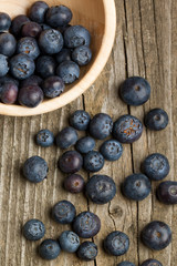 Fresh blueberries