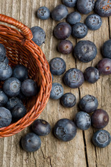 Fresh blueberries