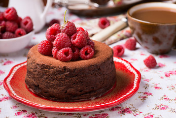 Homemade chocolate cake with raspberry