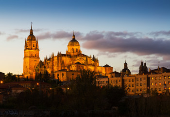 Fototapeta na wymiar Cathedral of Salamanca in dusk