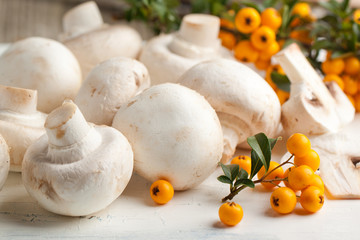 Champignon mushrooms