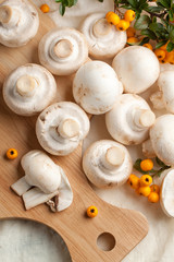 Champignon mushrooms