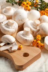Champignon mushrooms