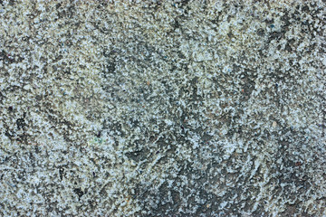  texture of an old concrete wall