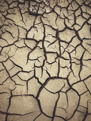 Cracked dry soil