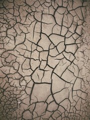 Cracked dry soil