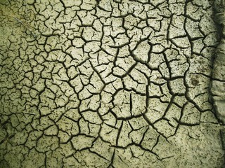Cracked dry soil