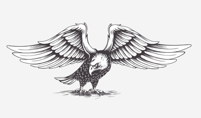 Detailed Hand Drawn Eagle. Vector. 