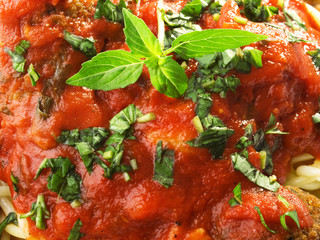 Pasta Collection - Spaghetti with meatballs