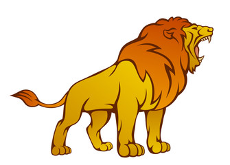 Angry lion