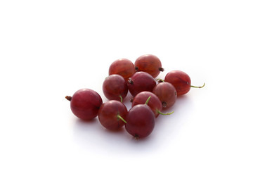 groseilles à maquereau