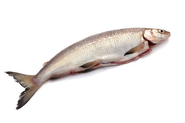 Poisson