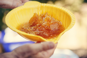 Sweet honeycombs with honey