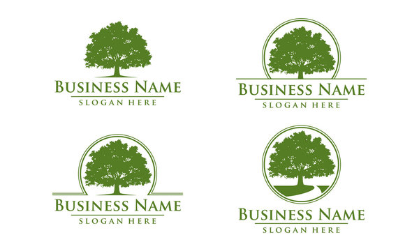 oak, tree, logo
