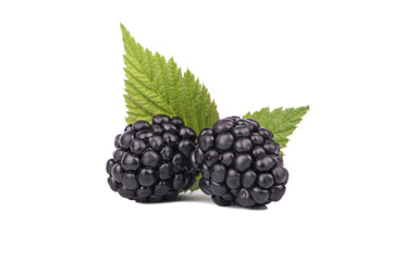 Blackberry