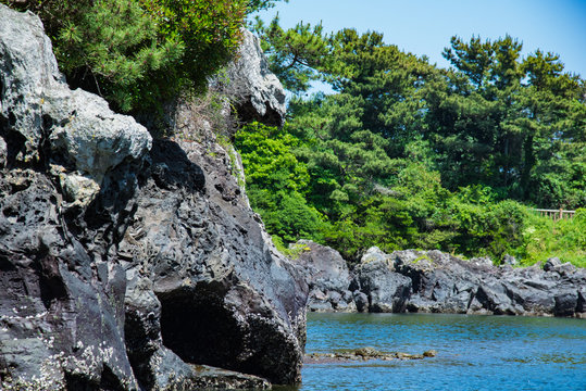 Soesokkak Estuary,The Nature of Jeju Island in Korea  セソカク,韓国済州島の自然
