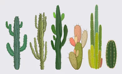 Foto op Canvas Cactus collection in vector illustration © robertochicano