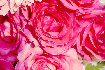 red rose flowers for background