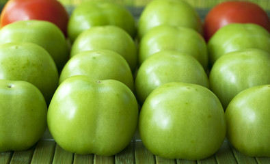 Grüne und rote Tomaten