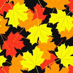 Seamless pattern of maple leaves.  illustration