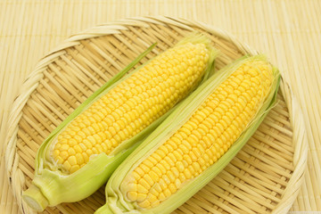 夏野菜　とうもろこし/目にも鮮やかな夏野菜です。