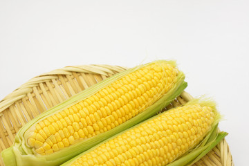 夏野菜　とうもろこし/目にも鮮やかな夏野菜です。
