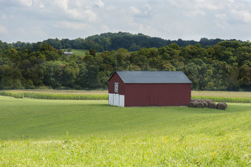 Obraz premium Farm with red barn, corn and hay in Kentucky