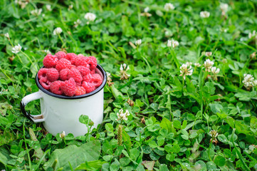White can and mug with fresh raspberry