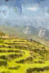 Lush green terraced mountain fields illustration