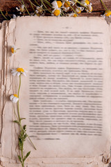 Old book with dry flowers on table close up