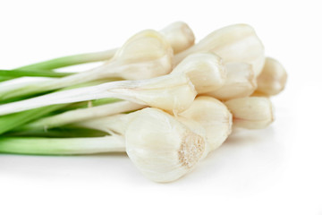Fresh young garlic isolated on white