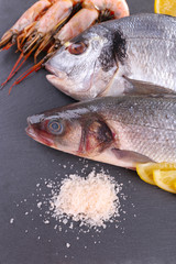Fresh fishes and shrimps with spices  on gray background