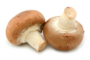 2 Champignons freigestellt