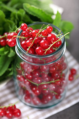 Fresh red currants in jar with mint on table close up