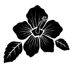 Hibiscus flower silhouette concept