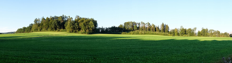 Fototapeta na wymiar Wiese und Wald Panorama