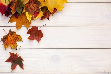 Poster Autumn background with colorful leaves on wooden background © k2photostudio