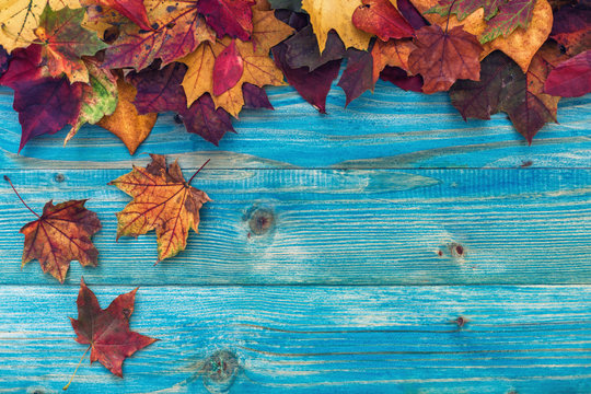 Autumn background with colorful leaves on wooden background