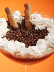 Chocolate cream with vanilla