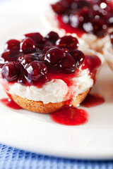 Mini cheese cakes with cranberries