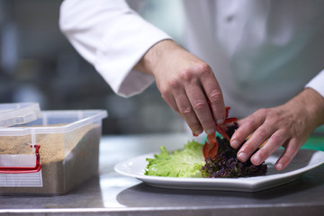 chef in hotel kitchen preparing and decorating food