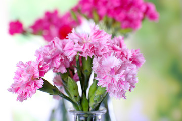 Beautiful bouquet of pink carnation in vases close up