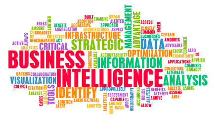 Business Intelligence