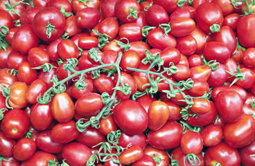 Many of juicy ripe red tomatoes