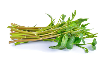 Water spinach , Morning Glory  on white background
