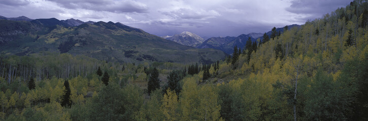 Panoramic of autumn color with storm coming from McClure Pass south of Carbondale Colorado off Route 133